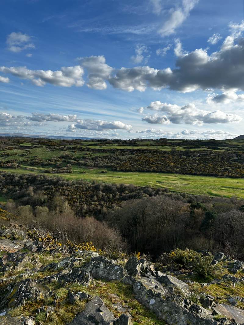 walking near me in Braidburn Valley Park in winter