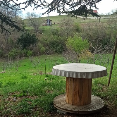 November Distance Challenge Çelebi post image