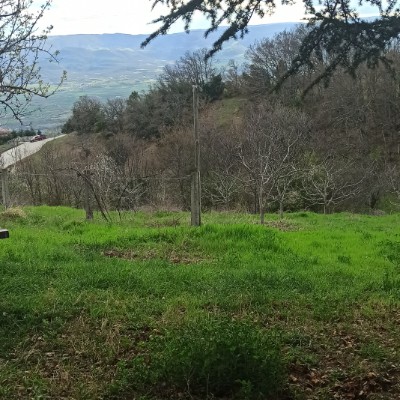 November Distance Challenge Çelebi post image