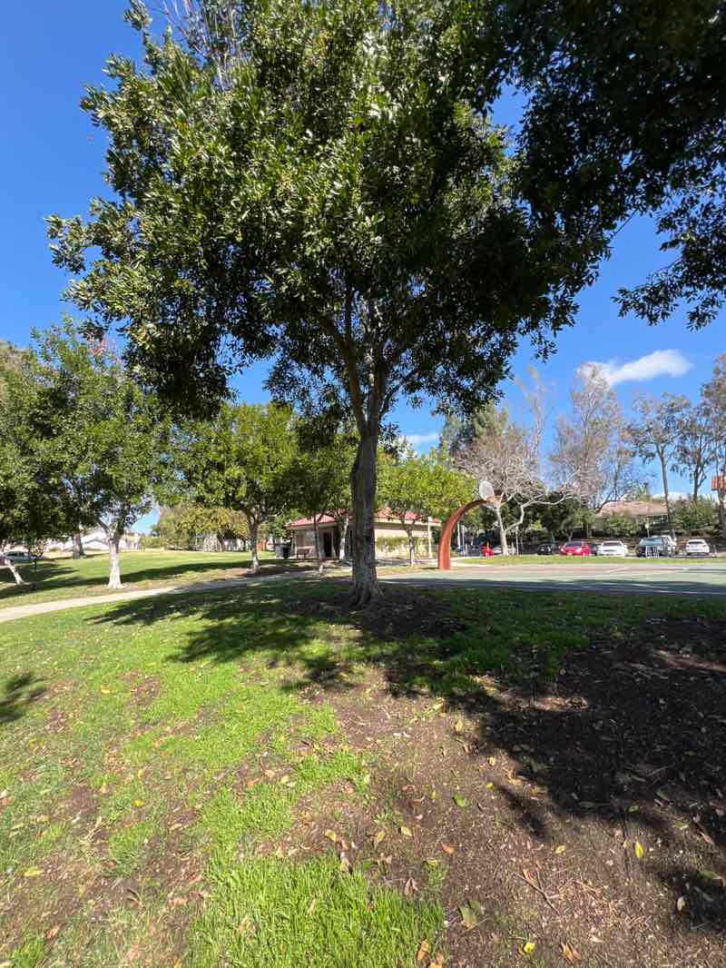 walking near me in Santiago Hills Park in winter