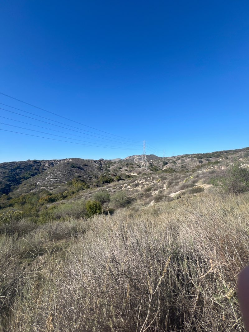 walking near me in Whiting Ranch Wilderness Park in winter
