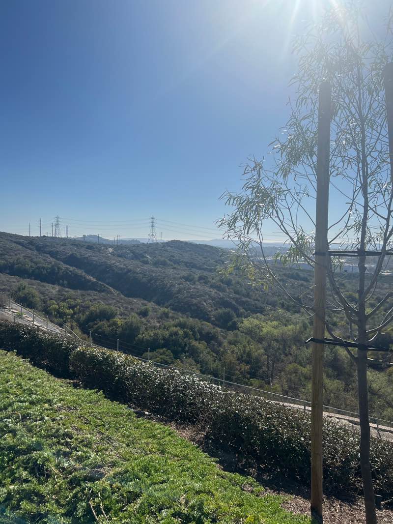 walking near me in Portola Park in winter