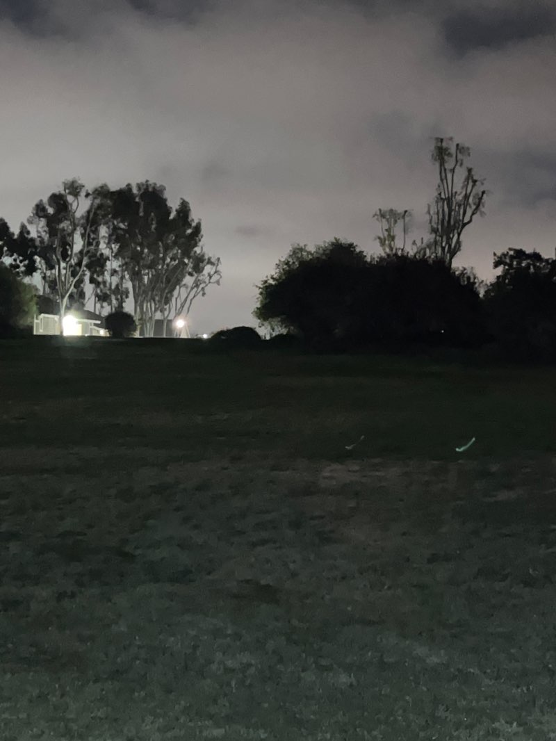 walking near me in Peachwood Park in winter