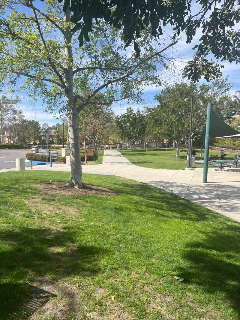 walking near me in Foothill Ranch Community Park in spring