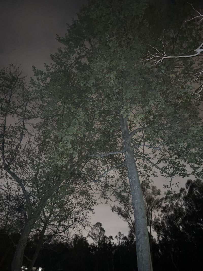 walking near me in Lake Forest Park in spring