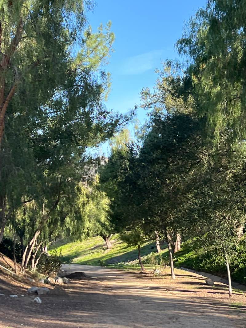 walking near me in Concourse Park in spring
