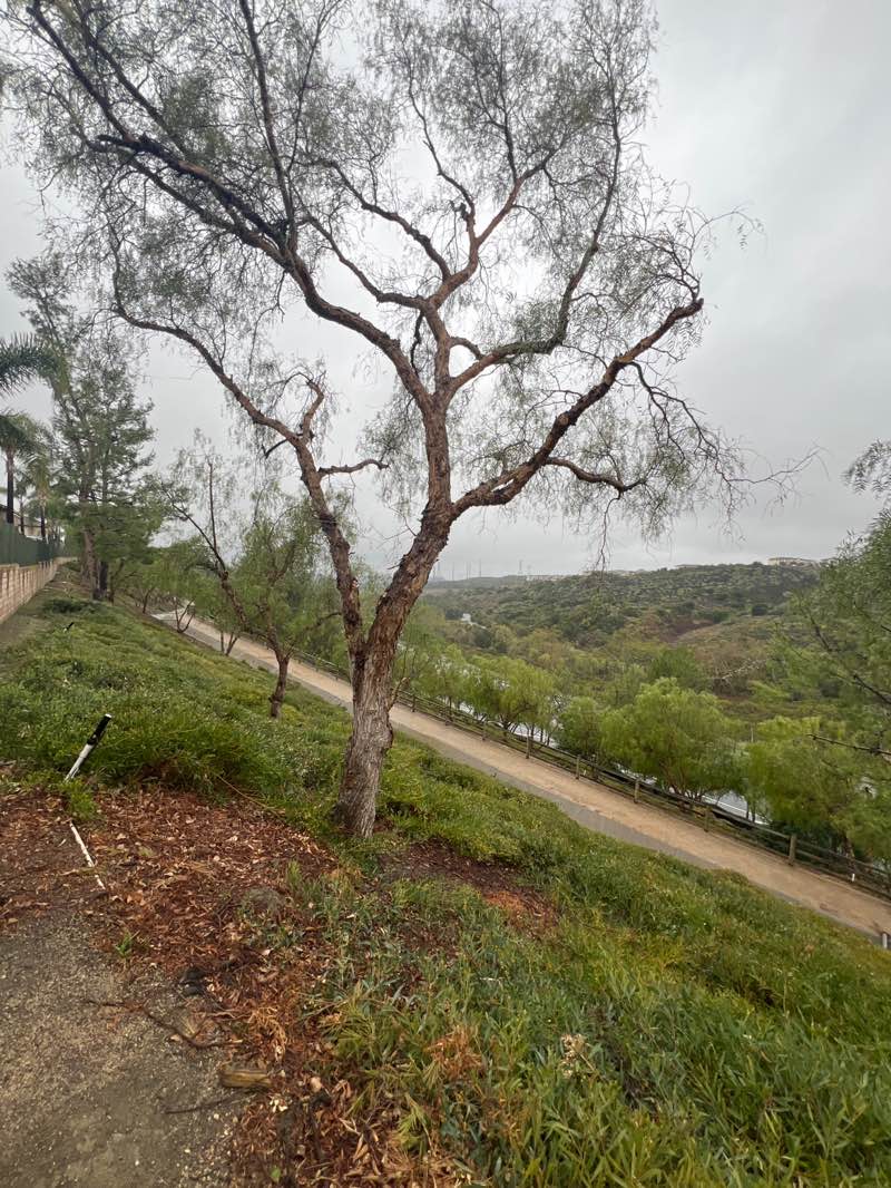 walking near me in Wandering Trails Park in spring
