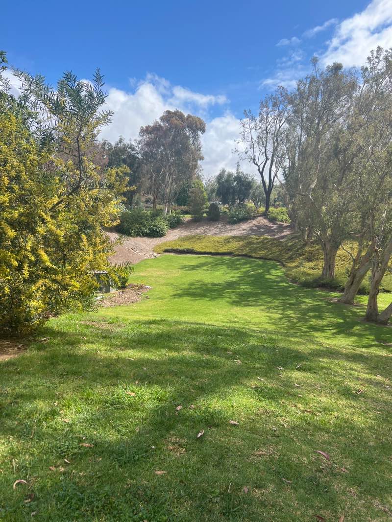 walking near me in Broadmoor Park in spring