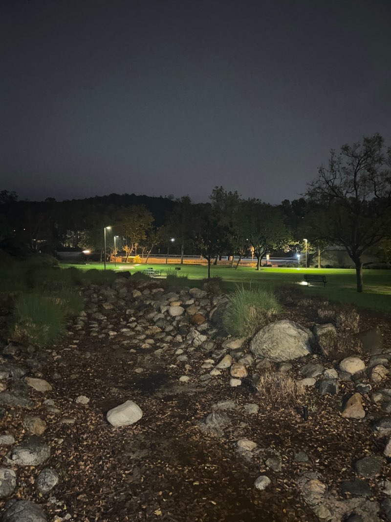 walking near me in Montbury Park in spring