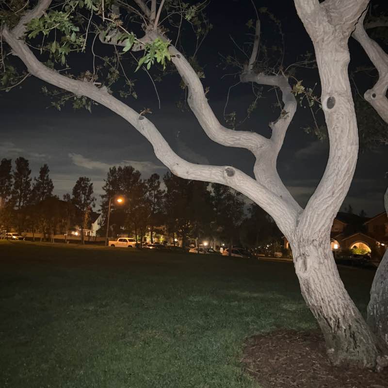 🌻Jo-Jo ♎ post 3