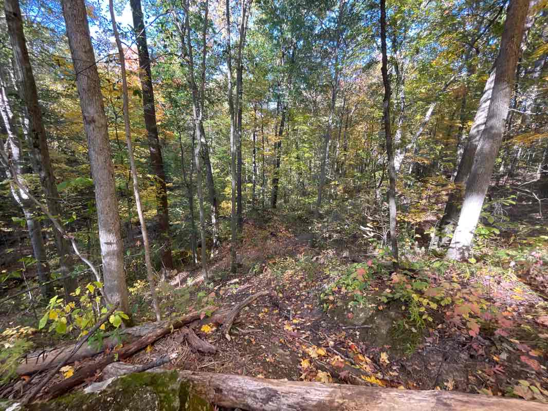 walking near me in Oak Grove Picnic Area in winter