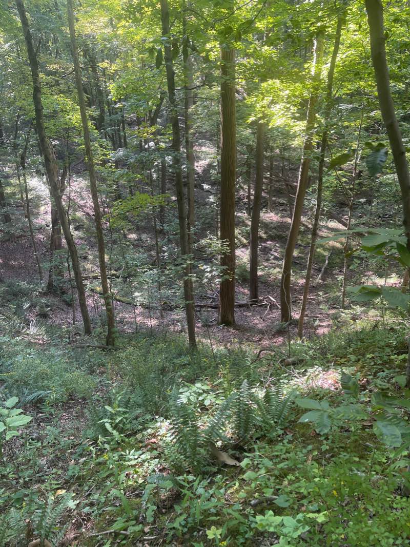 walking near me in The Meadows Trailhead in winter