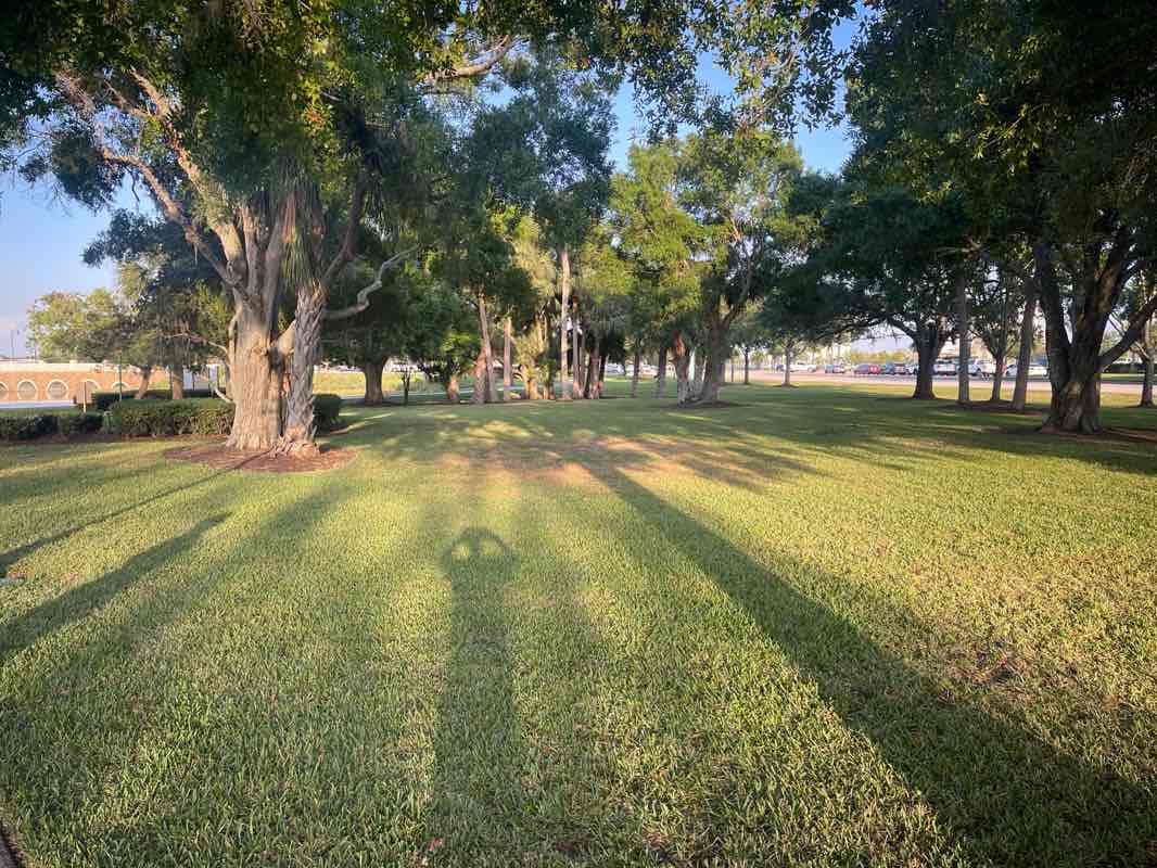 walking near me in Tradition Park in spring