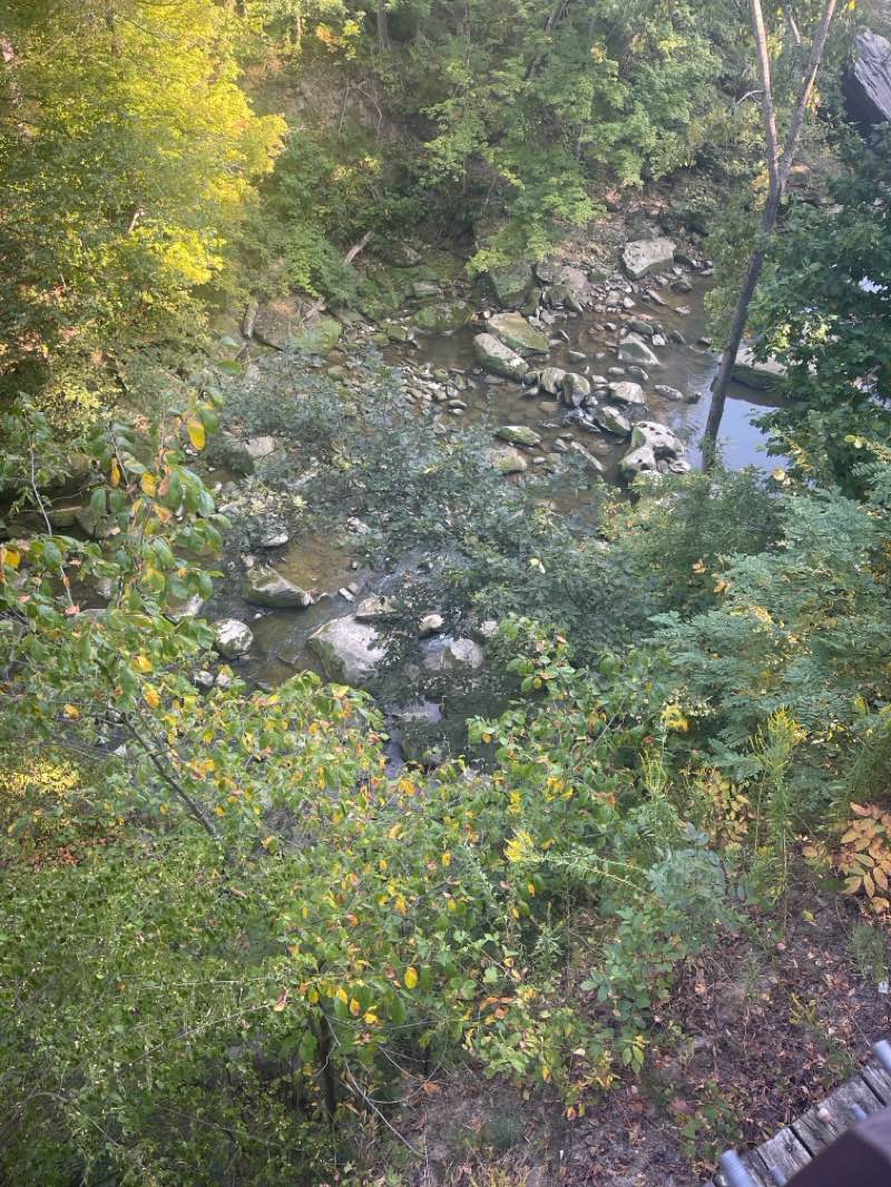 walking near me in Rocky River Reservation in autumn