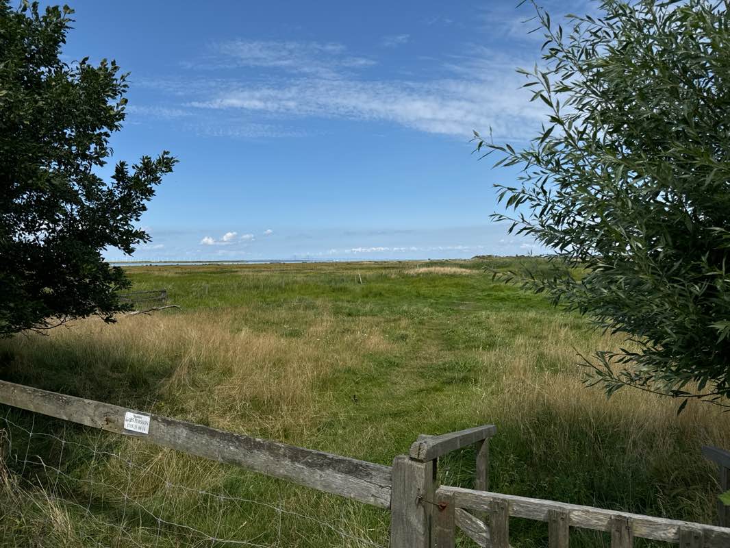 walking near me in Skanörs södra stadspark in winter