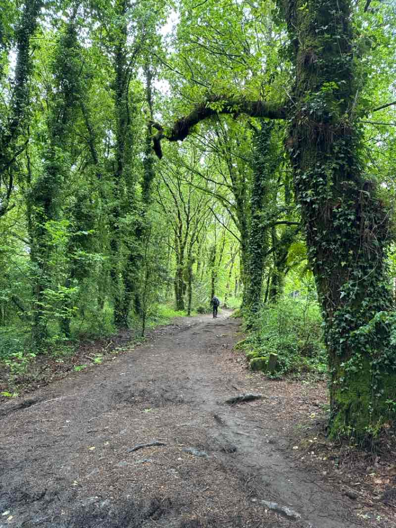 walking near me in Alameda in spring