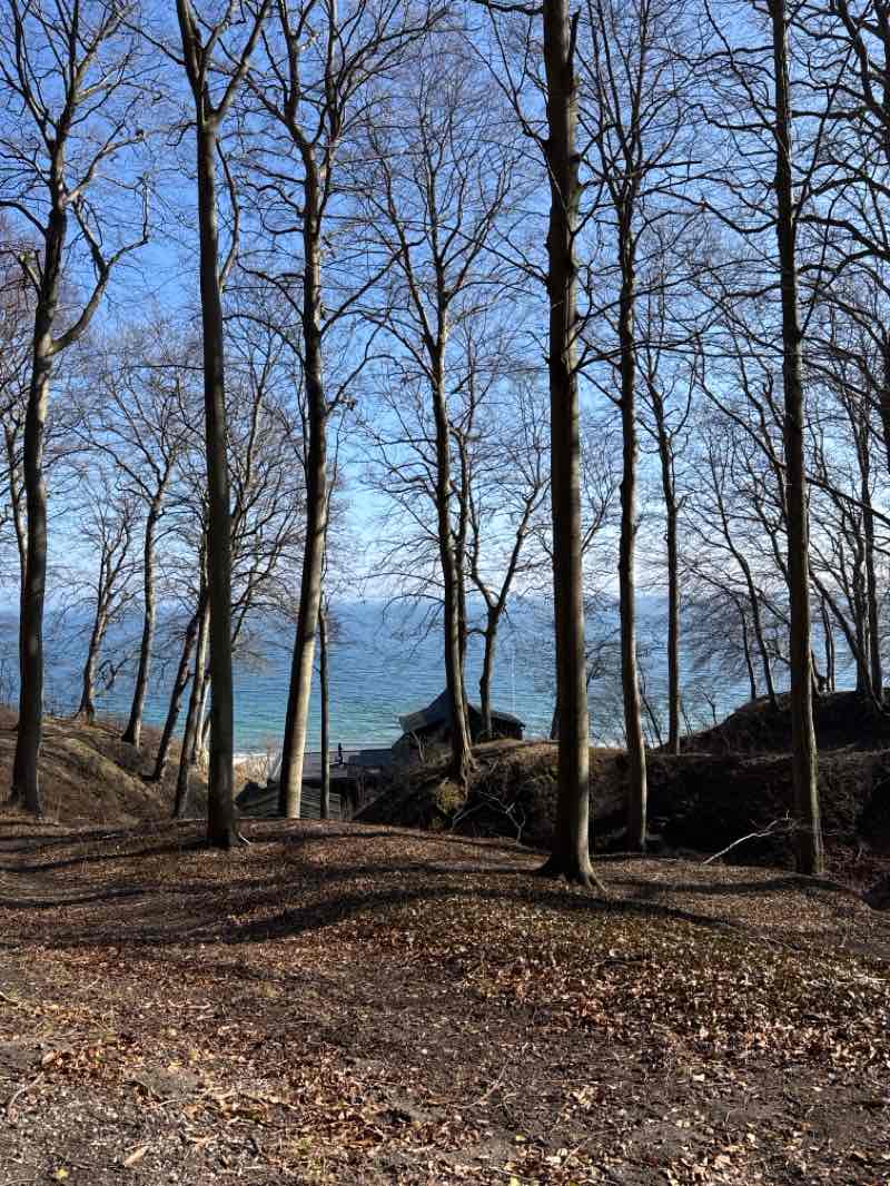 walking near me in Tangkrogen in spring