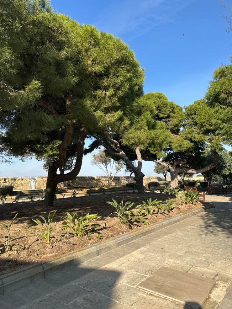 walking near me in Upper Barracca Gardens in winter