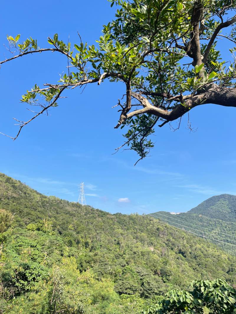 walking near me in Po Tsui Park in winter