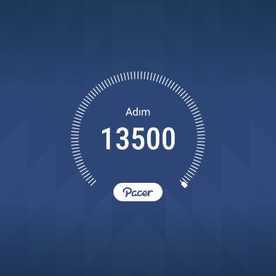 Step On Up and start counting efkan. The pısces kıng post image