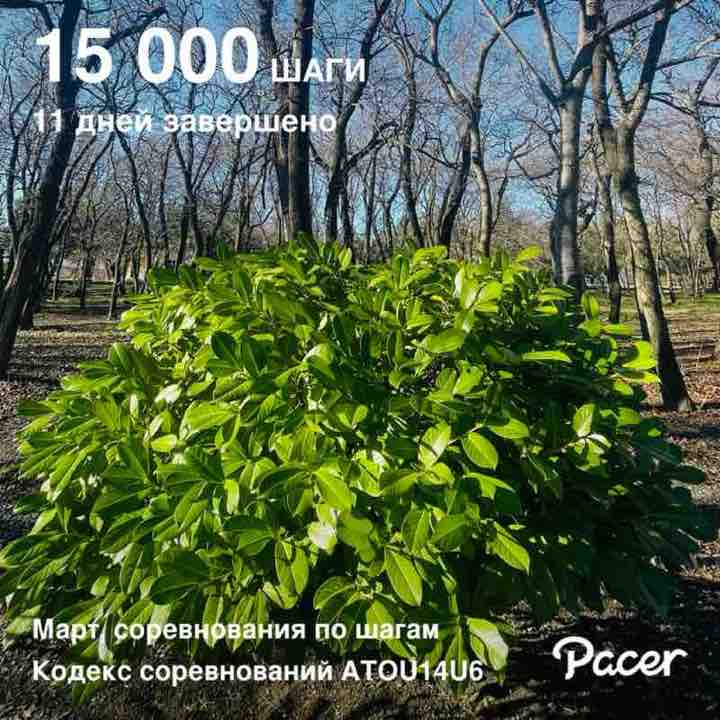 Анна⚪️🔴🟡 post 1