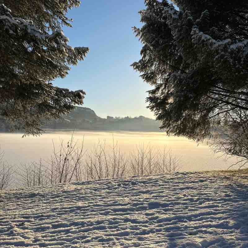 Devinco - move Siren post image