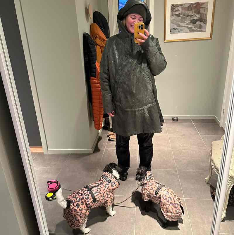 Devinco - move Siren post image