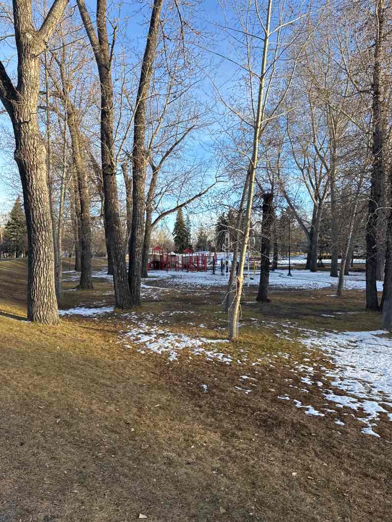 walking near me in Prince's Island Park in autumn