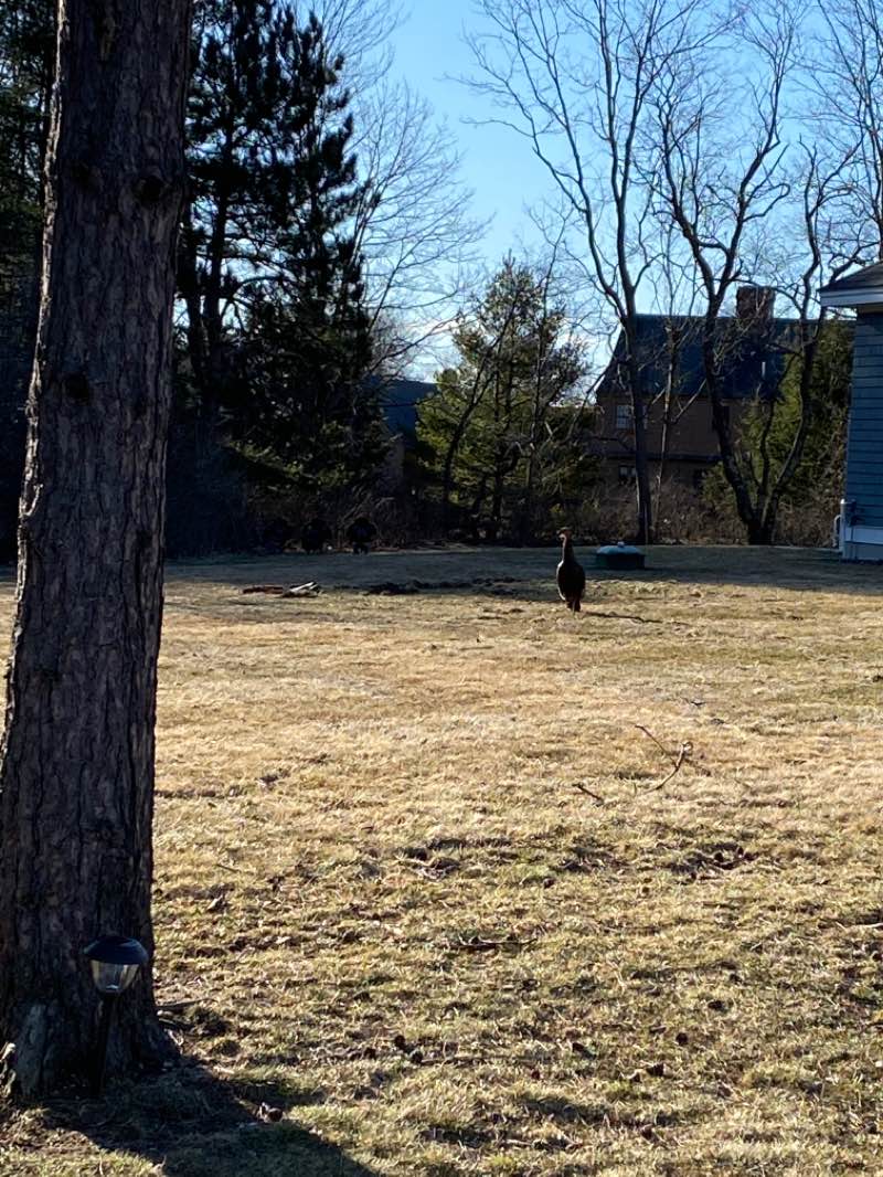 walking near me in Wainwright Recreation Complex in winter