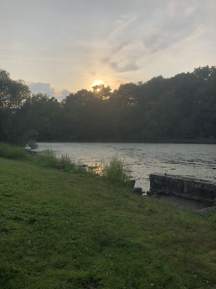 walking near me in Van Cortlandt Park in summer