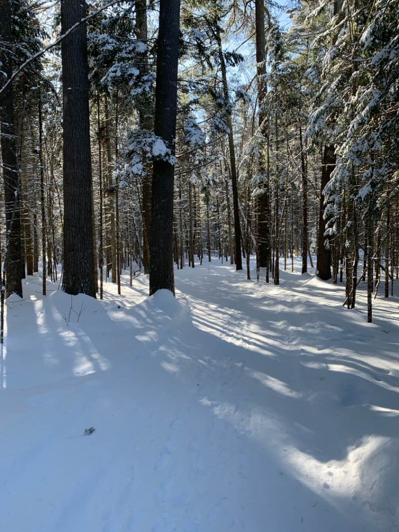 walking near me in Parc François Beaudoin in winter