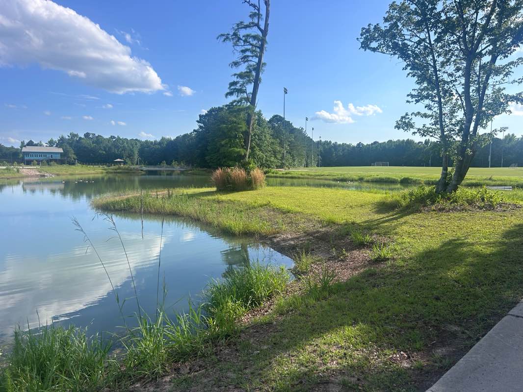 walking near me in Patriot Park Sports Complex in summer