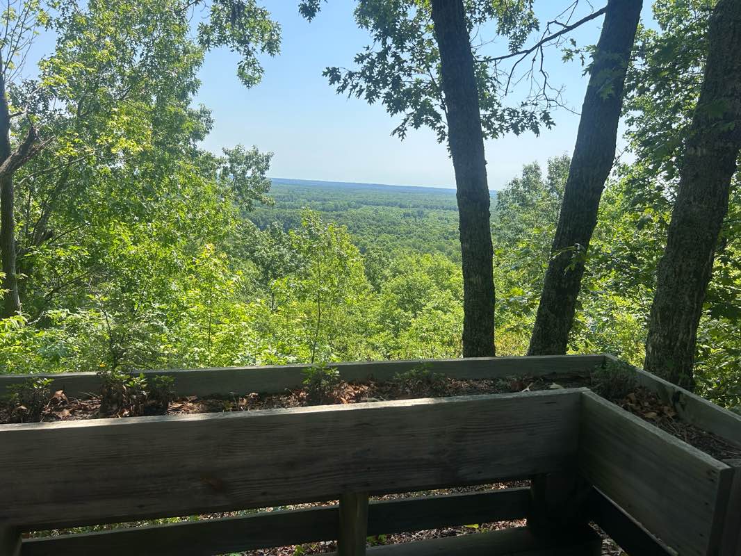 walking near me in Wateree Heritage Preserve / Wildlife Management Area in summer