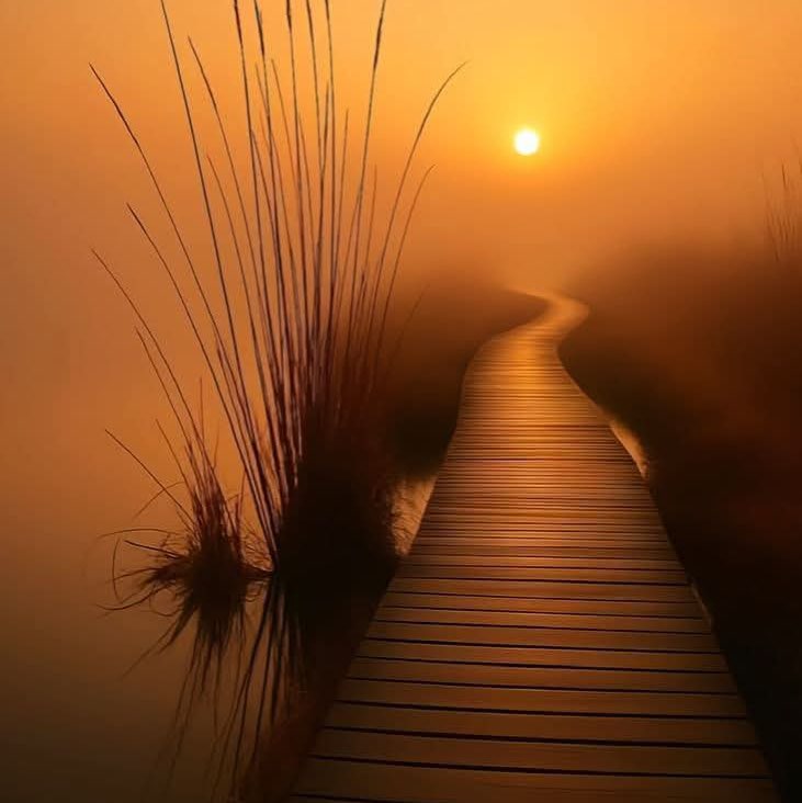 Anetta Smulakovsky post 3