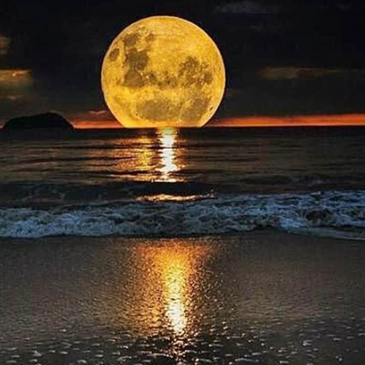 Anetta Smulakovsky post 2