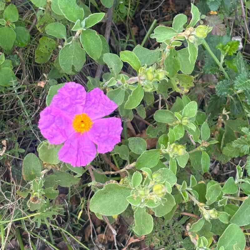 Легкий шаг 🤸🏼‍♂️ Helena post image