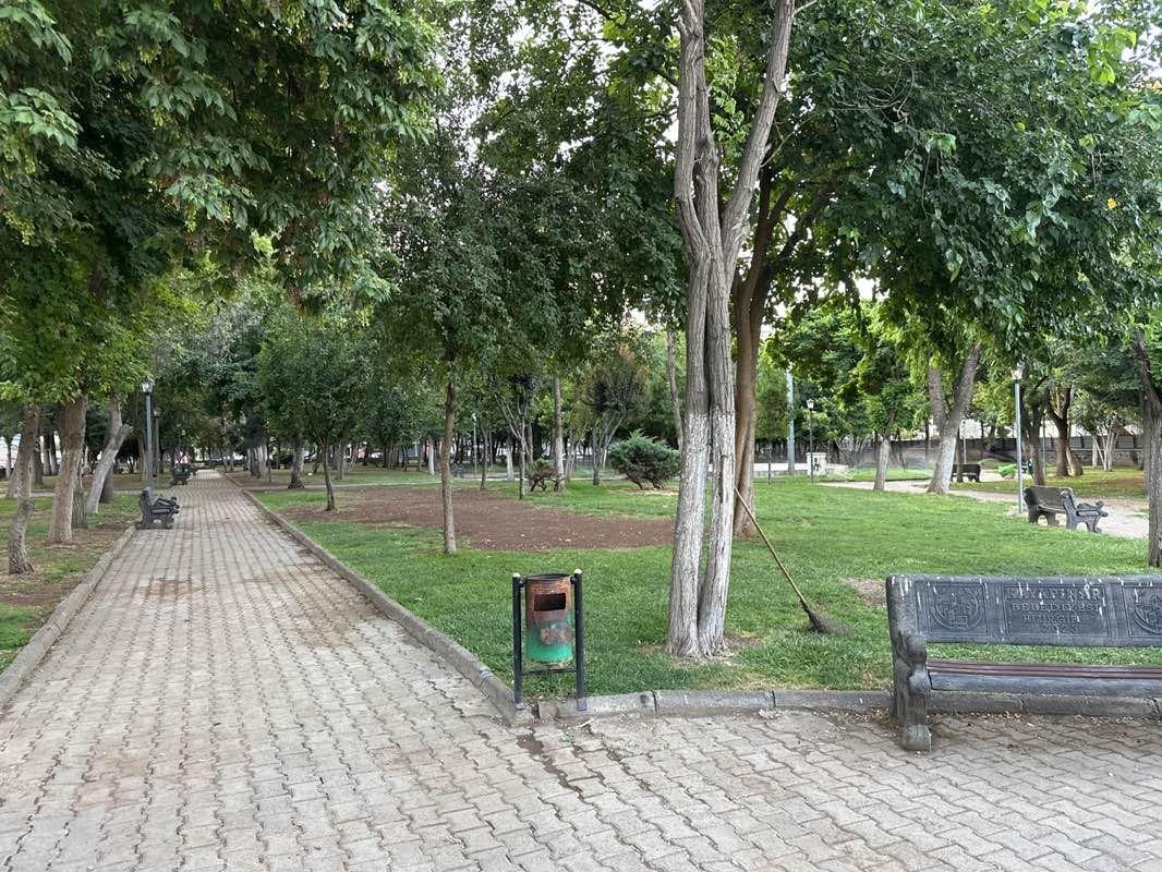 walking near me in Ceylan Park in summer