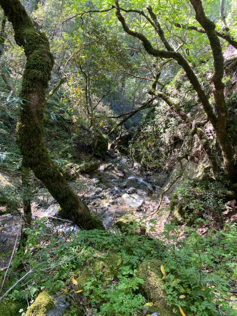 walking near me in Quarry Park in winter