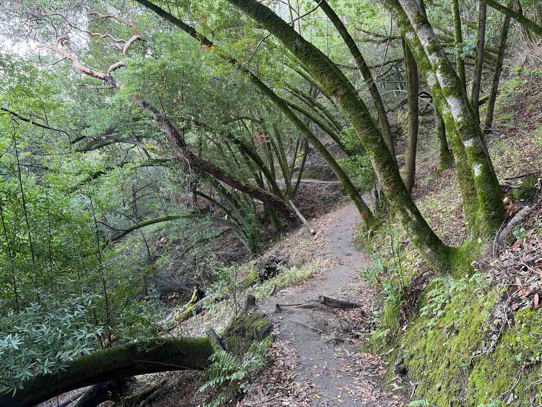 walking near me in Dublin Hills Regional Park in autumn