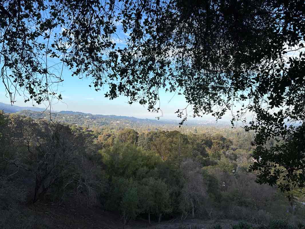 walking near me in Villa Montalvo County Park in winter