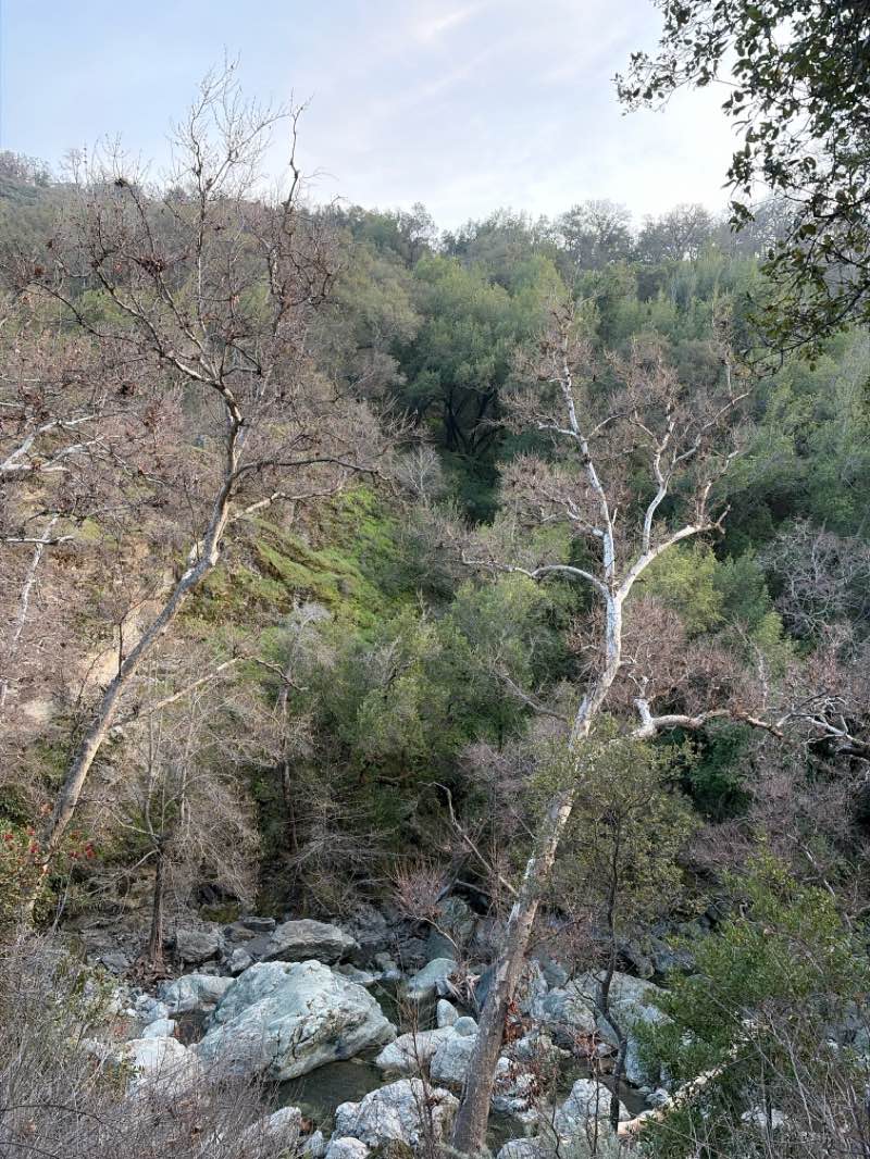 walking near me in Sunol Regional Wilderness in winter