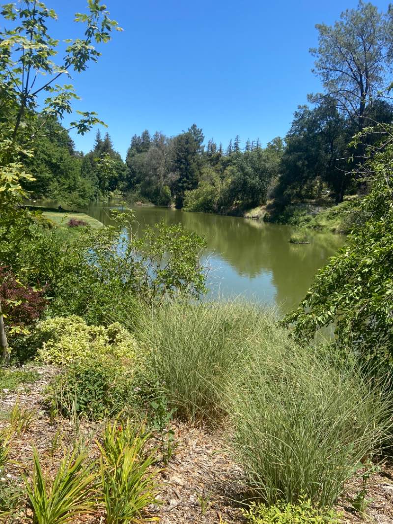 walking near me in West Quad in winter