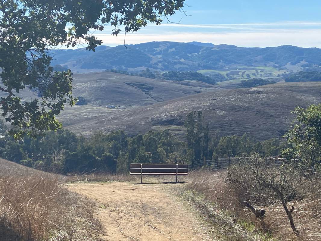 walking near me in Helen Putnam Regional Park in winter