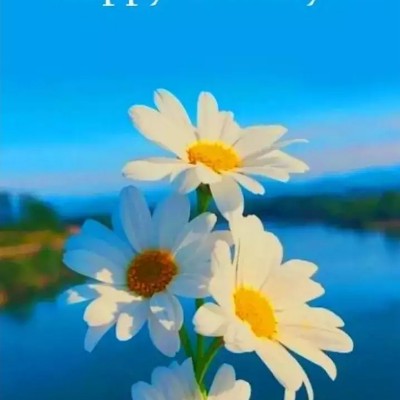 GITD Fast and Fit Candy Robertson post image