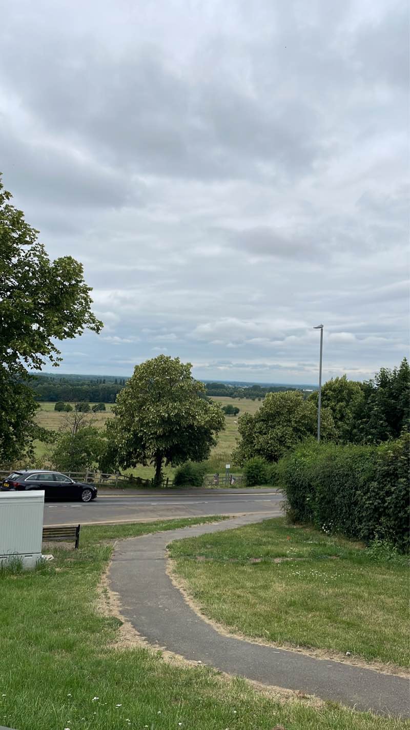 walking near me in Boutham Moor Wood in winter