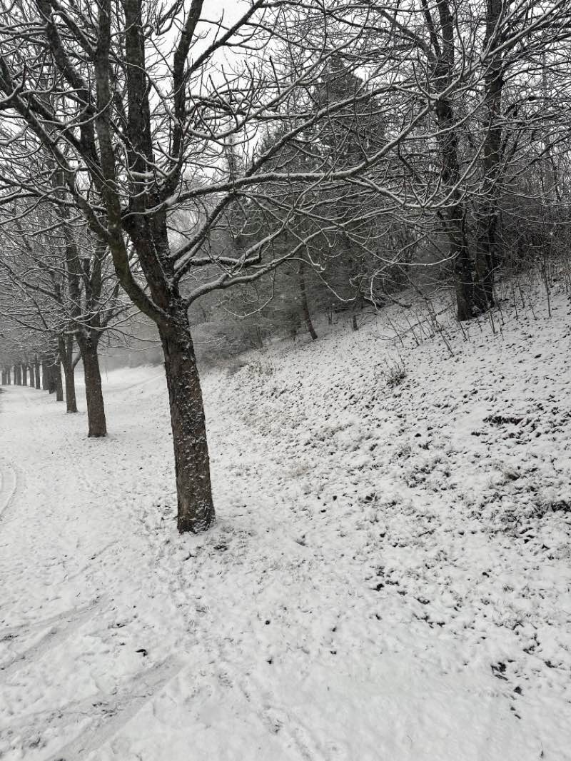walking near me in Sandgrundsparken in winter