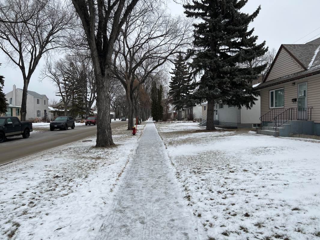 walking near me in Mayfair Park East in winter