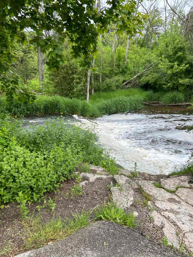 walking near me in Lime Kiln Park in winter