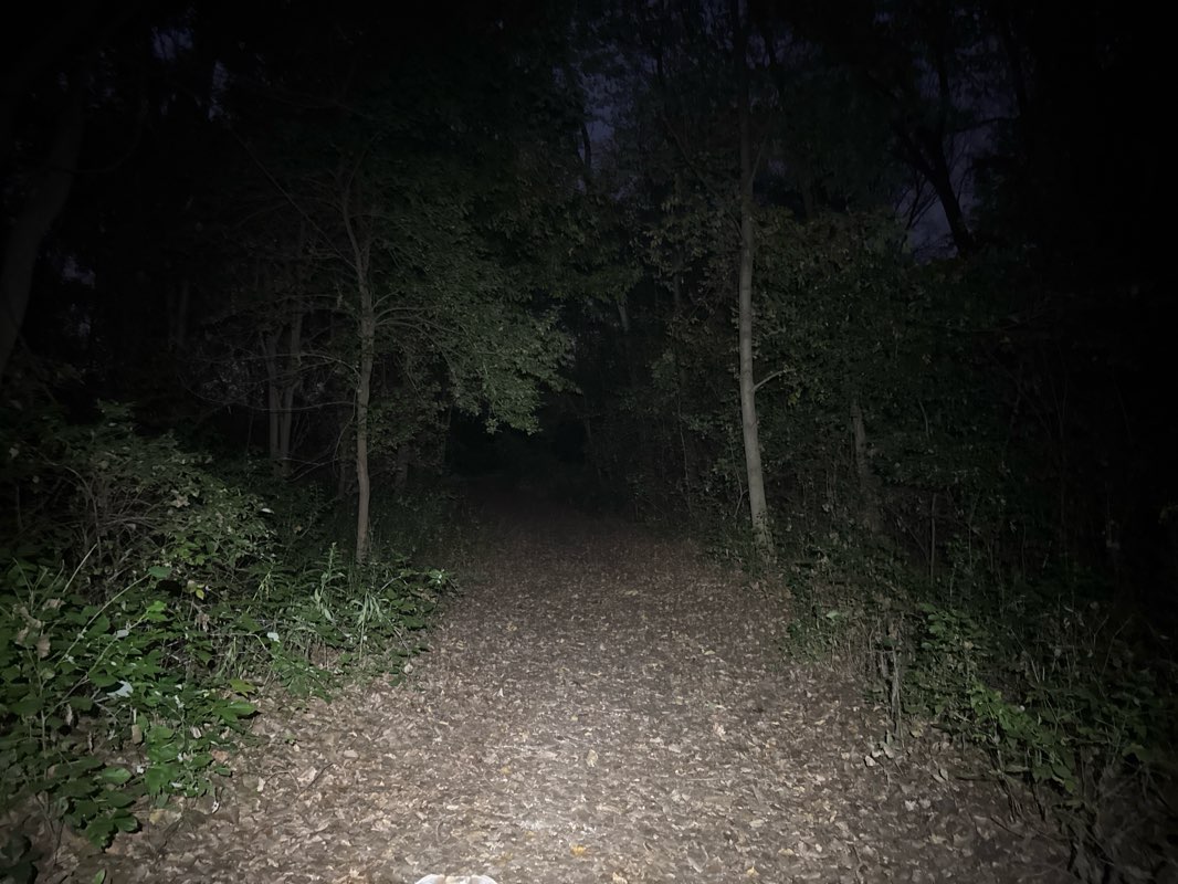 walking near me in Fox Brook Park in autumn