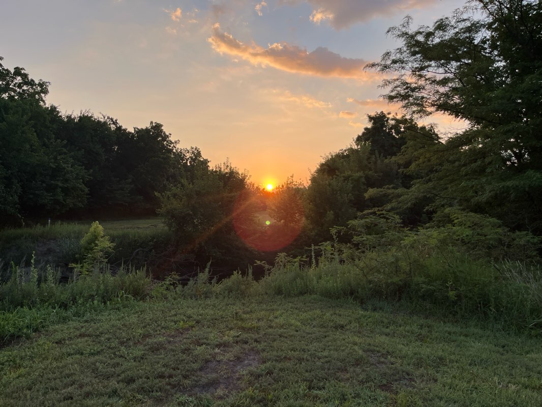 walking near me in Swanson Park in summer